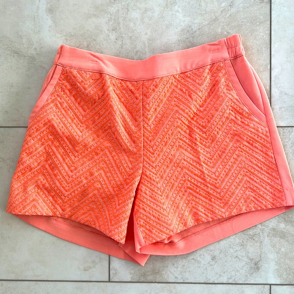 Women’s dressy shorts with cute embroidered pattern.